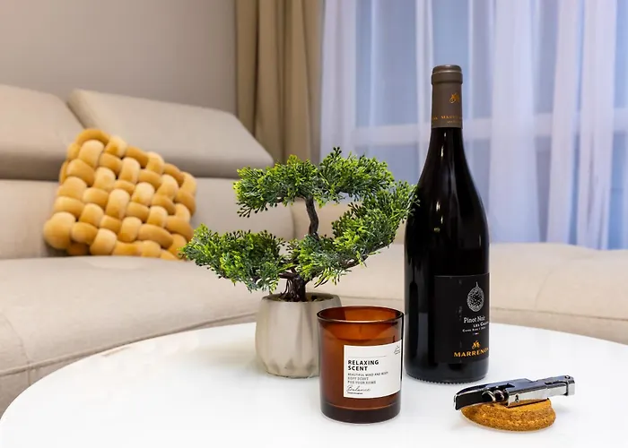 A2 1 Bedroom Modern Apartments